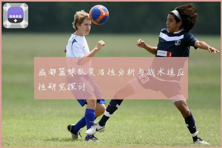 成都篮球队灵活性分析与战术适应性研究探讨