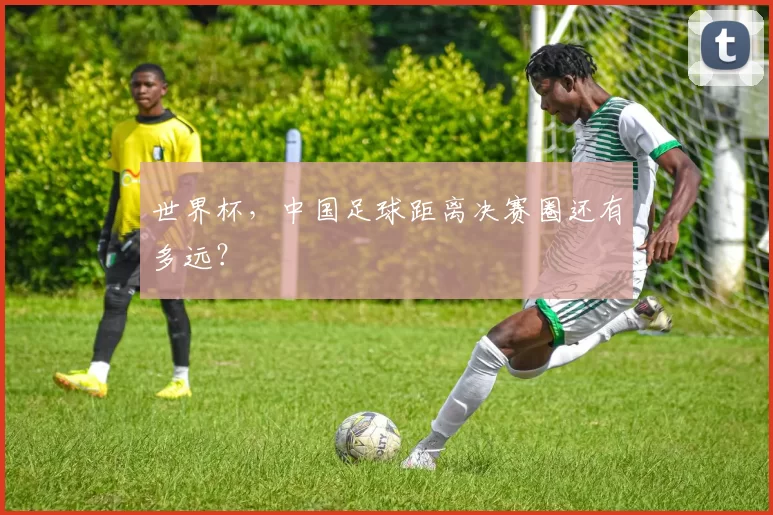世界杯,中国足球距离决赛圈还有多远?