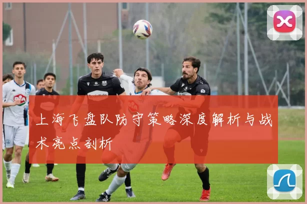 上海飞盘队防守策略深度解析与战术亮点剖析
