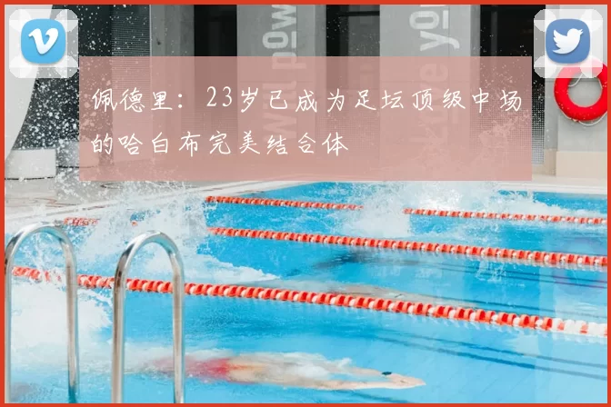 佩德里：23岁已成为足坛顶级中场的哈白布完美结合体