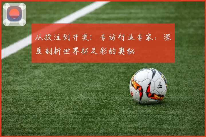 从投注到开奖:专访行业专家,深度剖析世界杯足彩的奥秘