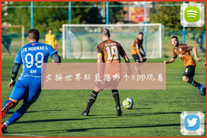 女排世界杯直播哪个app观看