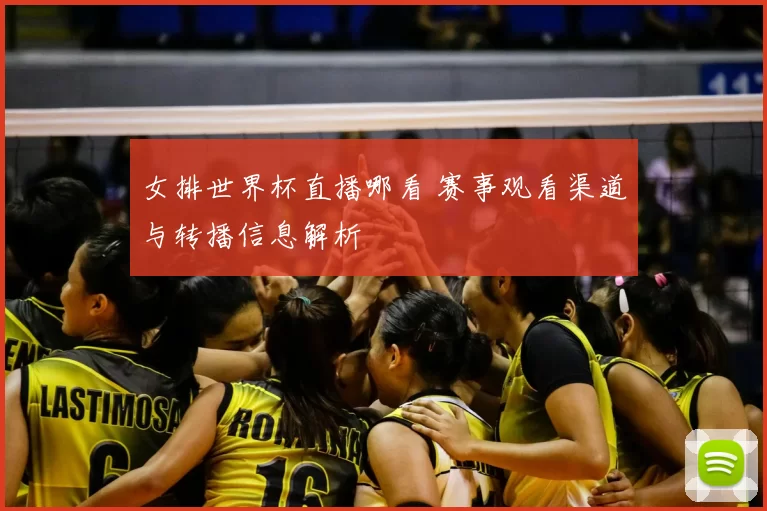 女排世界杯直播哪看 赛事观看渠道与转播信息解析