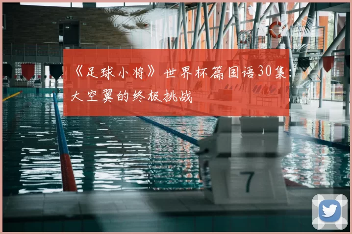 《足球小将》世界杯篇国语30集:大空翼的终极挑战