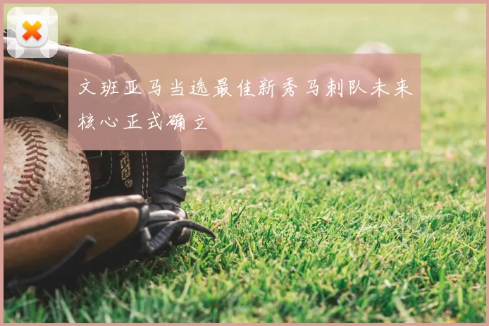 文班亚马当选最佳新秀马刺队未来核心正式确立