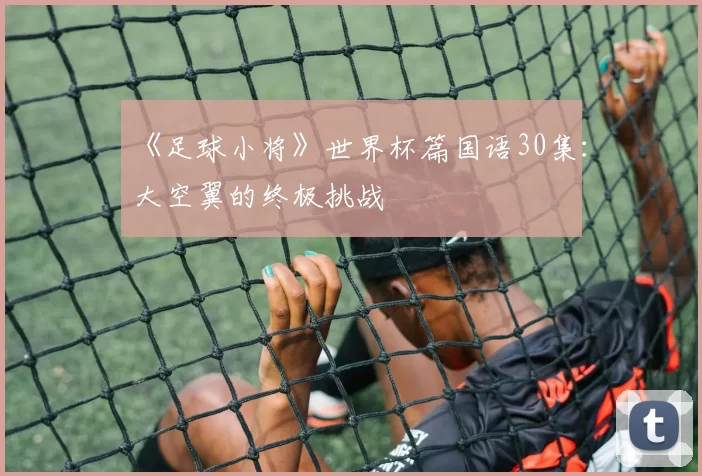 《足球小将》世界杯篇国语30集:大空翼的终极挑战