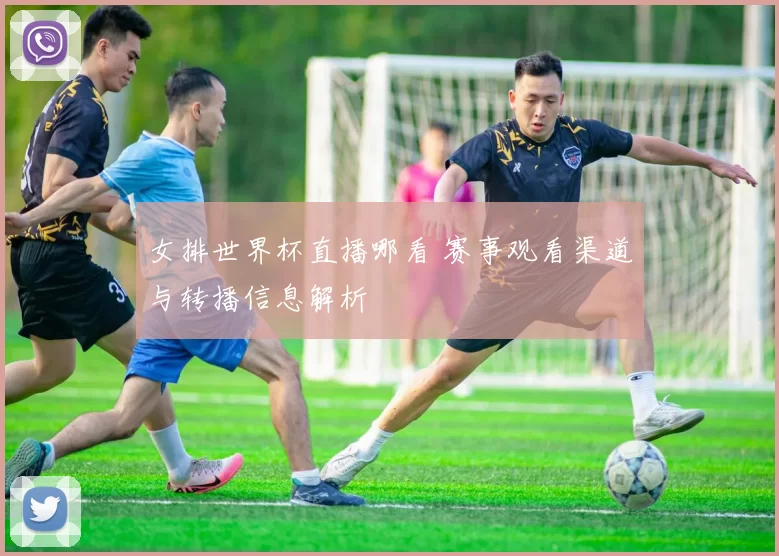 女排世界杯直播哪看 赛事观看渠道与转播信息解析