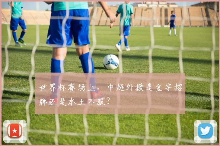 世界杯赛场上,中超外援是金字招牌还是水土不服?