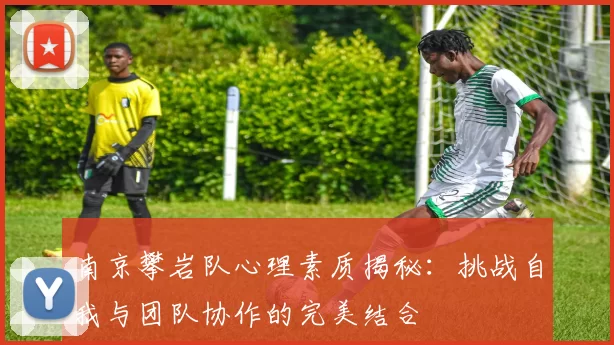 南京攀岩队心理素质揭秘：挑战自我与团队协作的完美结合