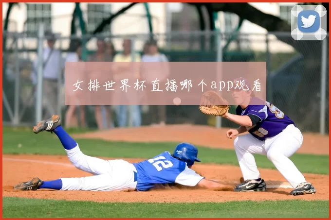 女排世界杯直播哪个app观看