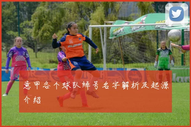 意甲各个球队绰号名字解析及起源介绍