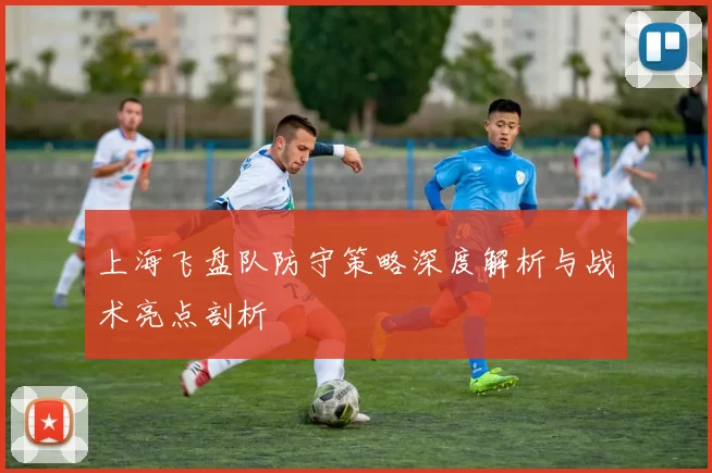 上海飞盘队防守策略深度解析与战术亮点剖析