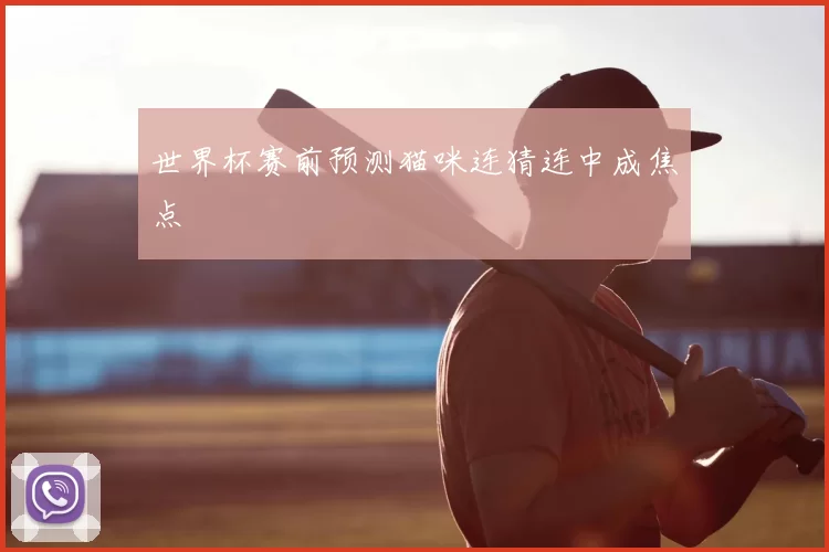 世界杯赛前预测猫咪连猜连中成焦点