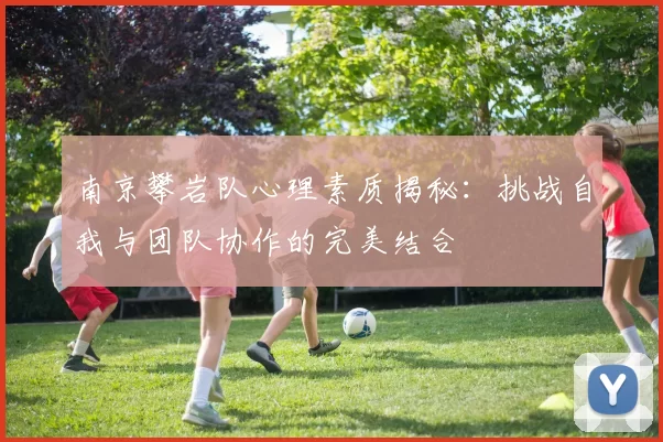 南京攀岩队心理素质揭秘：挑战自我与团队协作的完美结合