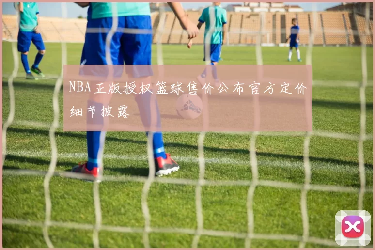 NBA正版授权篮球售价公布官方定价细节披露