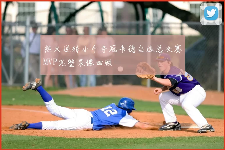 热火逆转小牛夺冠韦德当选总决赛MVP完整录像回顾