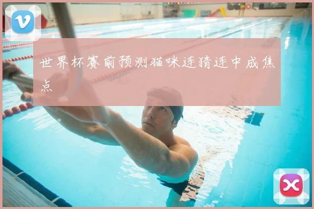 世界杯赛前预测猫咪连猜连中成焦点